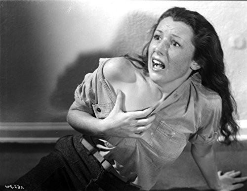 Dorothy Coonan Posed in Classic Photo Print 10 x 8