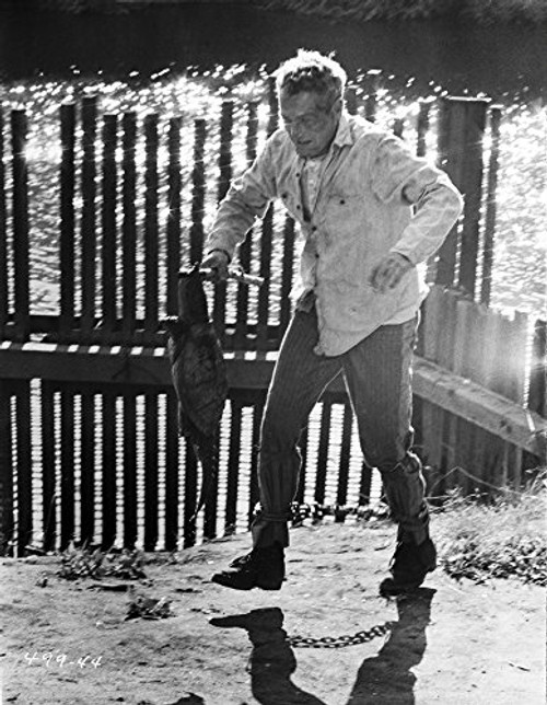 Paul Newman Chained in Classic Photo Print 8 x 10 Paul Newman Chained in Classic Photo Print 8 x 10