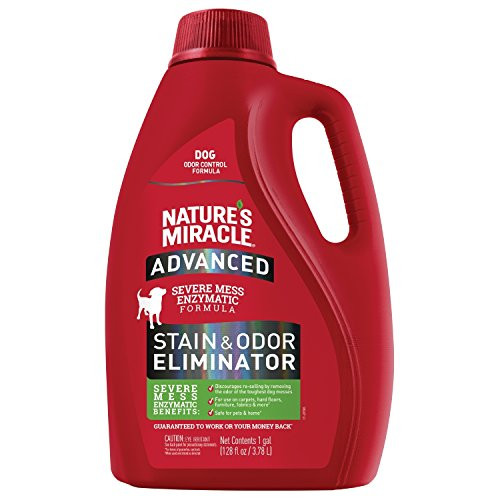 Natures Miracle Advanced Stain and Odor Eliminator Dog  For Severe Dog Messes  1 Gallon  Updated Formula