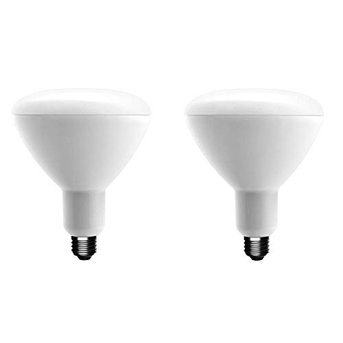 EcoSmart 75-Watt Equivalent BR30 Dimmable Energy Star LED Light Bulb Soft White 2-Pack