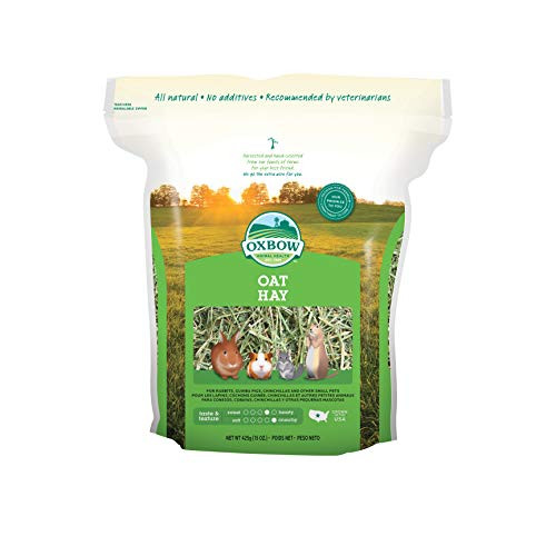 Oxbow Animal Health Oat Hay  For Rabbits  Guinea Pigs  And Small Pets  Grown In The USA  Hand-Selected And Hand-Sorted  15 Ounce