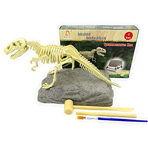 JCT Dinosaur Dig Toy Dinosaur Excavation Kit for Kids  Bones Fossil of T Rex 3D Skeleton Dinosaur Excavation Kit Tyrannosaurus Kids Science Education DIY Toys Gift T Rex