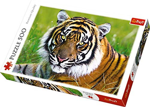 Trefl 500 Piece Jigsaw Puzzles  Tiger  Multicolor