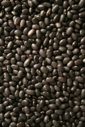 Premium Black Turtle Beans 2 lbs by OliveNation