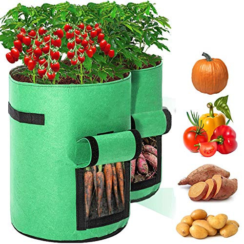 CLEYCYE Potato Grow Bags 10 Gallon Garden Vegetable Planter with Handles Access Flap for Vegetables Tomato Carrot Onion Fruits Potatoes Growing Containers Ventilated Plants Planting Bag?2Pack? CLEYCYE Potato Grow Bags 10 Gallon Garden Vegetable Planter with Handles Access Flap for Vegetables Tomato Carrot Onion Fruits Potatoes Growing Containers Ventilated Plants Planting Bag?2Pack?