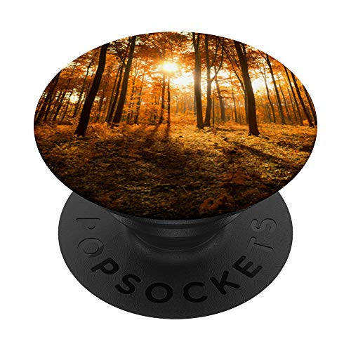 Forest Green Trees Sunset Mountains Hiking Camping Gift PopSockets PopGrip  Swappable Grip for Phones   Tablets