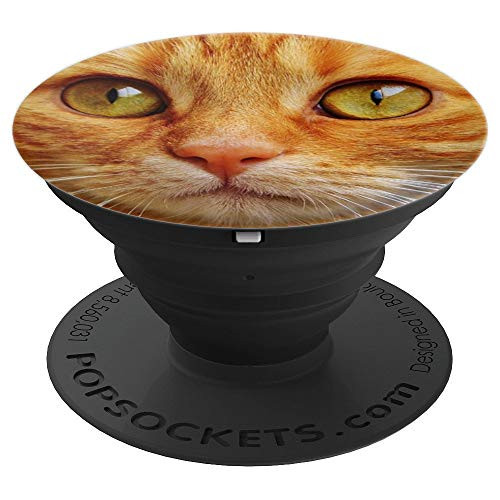 Cute Cat Face Gift Green Eyes Pink Nose Orange Tabby Cat PopSockets Grip and Stand for Phones and Tablets Cute Cat Face Gift Green Eyes Pink Nose Orange Tabby Cat PopSockets Grip and Stand for Phones and Tablets