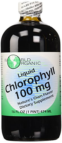World Organics Chlorophyll Supplement  100 mg  16 Ounce