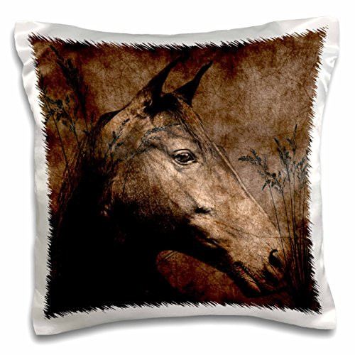 3D Rose Horse in The Grass Done in Western Brown Grunge   Charcoal Design Pillowcase  16  x 16