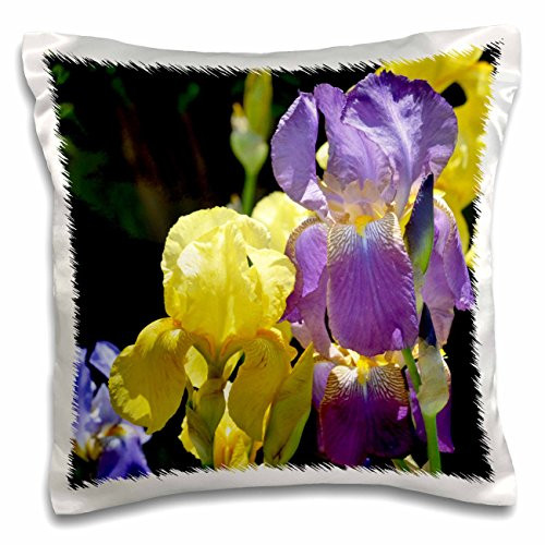 3D Rose Yellow   Purple Iris Flowers-Spring Photography Design Pillowcase  16  x 16