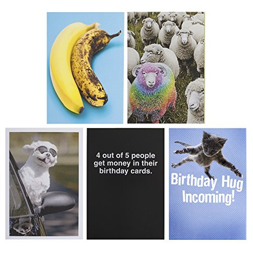 Hallmark Shoebox Funny Birthday Cards Assortment 5 Cards with Envelopes