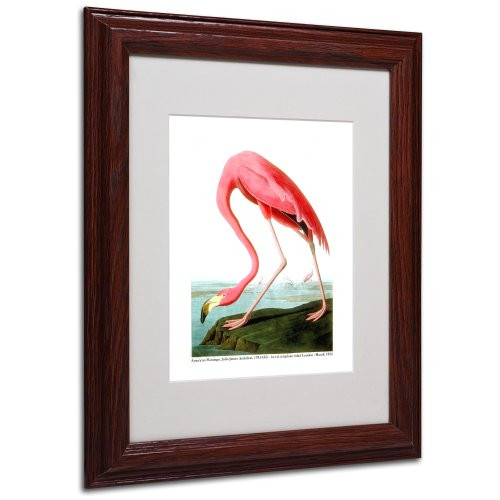 American Flamingo Matted Artwork by John James Audubon with Wood Frame, 11 by 14-Inch