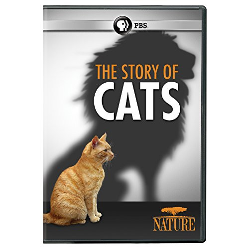 NATURE  The Story of Cats DVD