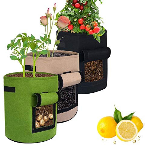 3Pack Potato Grow Bags 10 Gallon HAWTHOR Grow Bags Planting Fabric Pots with Handles and Flap Garden Bags for Vegetables Tomatoes Carrots Onions 3Pack Potato Grow Bags 10 Gallon HAWTHOR Grow Bags Planting Fabric Pots with Handles and Flap Garden Bags for Vegetables Tomatoes Carrots Onions