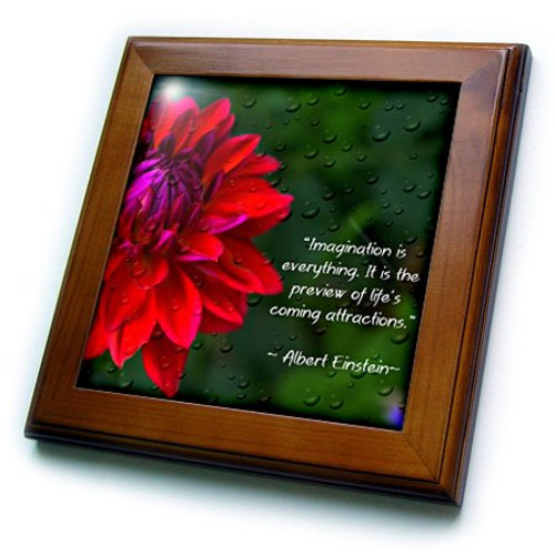 3dRose ft_157332_1 An Inspirational Print with a Quote by Albert Einstein and a Beautiful Dahlia Flower-Framed Tile Artwork, 8 by 8-Inch 3dRose ft_157332_1 An Inspirational Print with a Quote by Albert Einstein and a Beautiful Dahlia Flower-Framed Tile Artwork, 8 by 8-Inch