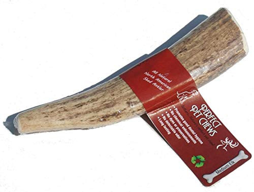 Perfect Pet Chews Elk Antler Dog Chew - Grade A All Natural Organic and Long Lasting Treats - Made from Naturally Shed Antlers in The USA - Medium Treat Perfect Pet Chews Elk Antler Dog Chew - Grade A All Natural Organic and Long Lasting Treats - Made from Naturally Shed Antlers in The USA - Medium Treat