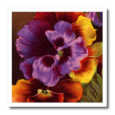 3dRose ht260711 Pansies in Purple and Gold-Iron on Heat Transfer for White Material  8 by 8-Inch