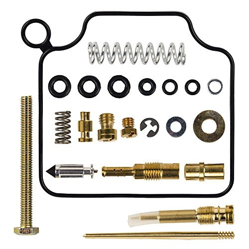 HIFROM Carburetor Rebuild Kit Carb Repair for Honda TRX450ES TRX 450 ES Foreman 1998-2003 1998 1999 2000 2001 2002 2003