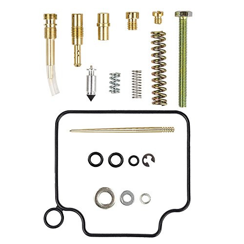 HIFROM Carburetor Rebuild Kit Carb Repair for Honda TRX 300 TRX300 Fourtrax 1993-2000 1993 1994 1995 1996 1997 1998 1999 2000