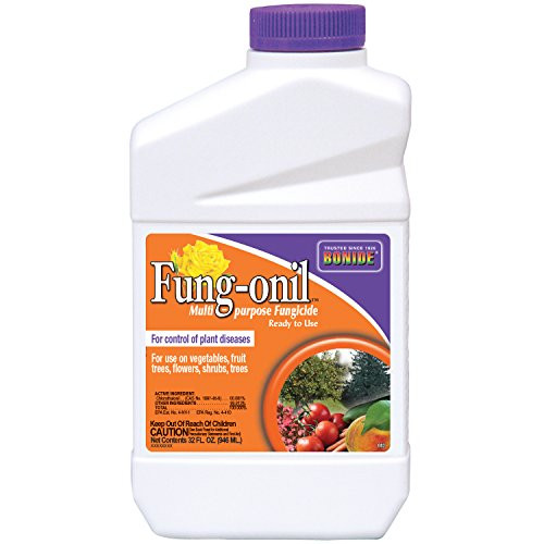 Bonide Chemical 881   QT Fungonil/Daconil Fungicide