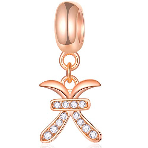 Pisces Zodiac Sign Charms fits Pandora Charm Bracelet  Rose Gold 925 Sterling Silver Necklace Pendant  12 Horoscope Constellation Dangle CZ Birthstone Beads  Birthday Gifts for Women-Mom