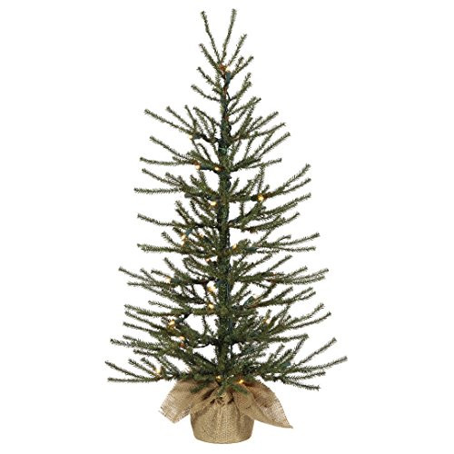 Vickerman B165025LED Angel Pine Artificial Christmas Tree with 239 PVC Tips & 35 Dura-Lit Italian LED Mini Lights in a Burlap Base, 24" x 14", Warm White