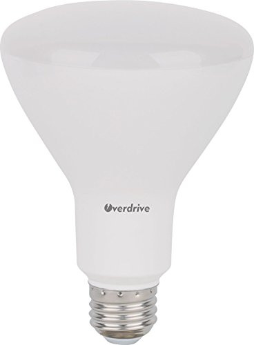 Overdrive 620 (12-Pack) 65 -Watts Equivalent Incandescent, BR30 LED Light Bulb, White Daylight, Dimmable, Energy Star Qualified