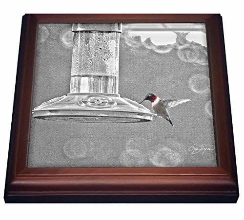 3dRose Hummingbird Fine Art Original Decor Trivet with Ceramic Tile  8 by 8   Brown