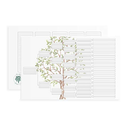 Genealogy Treasure Chest Family Tree - 2-Pack - 11x17-6 Generation - Family Tree Charts to Fill in Family Tree Poster for Kids - Genealogy Charts and Forms - Family Pedigree Chart 6 Generation