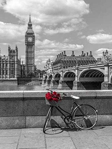 Bunch of Roses on a bicycle agaisnt Westminster Abby London UK Poster Print by Assaf Frank 11 x 14