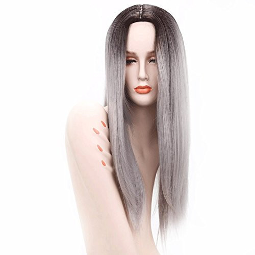 SeraphicWig Ombre Sliver Grey Long Straight Synthetic Full Hair Wig 26inch Middle Part Heat Resistant Fiber Hair Wigs for Women Party SeraphicWig Ombre Sliver Grey Long Straight Synthetic Full Hair Wig 26inch Middle Part Heat Resistant Fiber Hair Wigs for Women Party