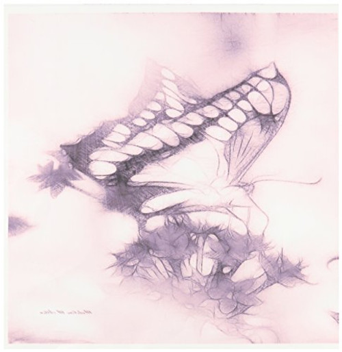 3dRose ht117573 Butterfly a Pink-Iron on Heat Transfer for White Material 10 by 10-Inch 3dRose ht117573 Butterfly a Pink-Iron on Heat Transfer for White Material 10 by 10-Inch