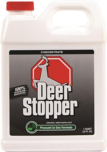 Deer Stopper Quart Concentrate