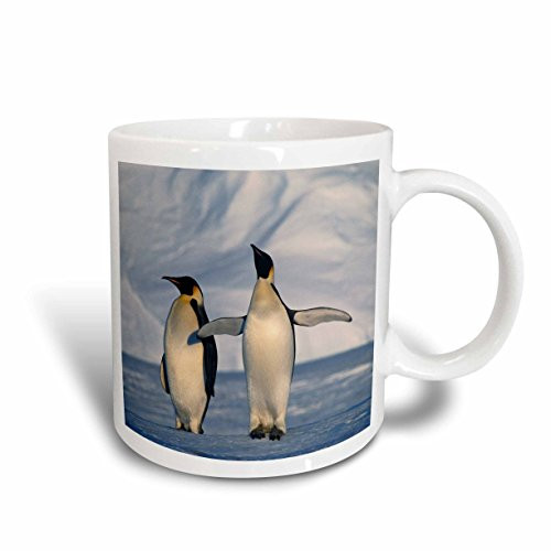 3dRose mug2063322 Sunrise At Tennant Mountain Area Blue Ridge Parkway North Carolina Mug 15 oz 3dRose mug2063322 Sunrise At Tennant Mountain Area Blue Ridge Parkway North Carolina Mug 15 oz
