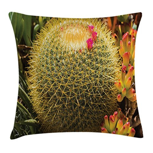 Ambesonne Cactus Throw Pillow Cushion Cover  Photo of Cactus Plant Flower with Spike Botanical Desert Garden Floral Image  Decorative Square Accent Pillow Case  16  X 16   Pink Green