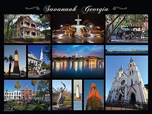Heritage Puzzle Savannah Collage by Peter Doran - 550 Pieces - 24  x 18  Finished Size