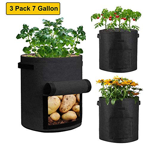 AUSTARK 7 Gallon Potato Grow Bags 3 Pack Plant Grow Bags Vegetable Planting Bags Tomato Planter Bags Aeration Fabric Pots with Handles and Harvest Window Black AUSTARK 7 Gallon Potato Grow Bags 3 Pack Plant Grow Bags Vegetable Planting Bags Tomato Planter Bags Aeration Fabric Pots with Handles and Harvest Window Black