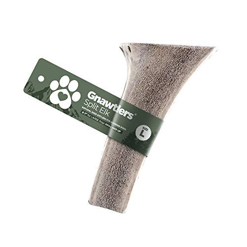 Pet Parents Gnawtlers - Premium Split Elk Antlers for Dogs Naturally Shed Elk Antlers for Dogs Split All Natural Split Elk Antler Dog Chew Specially Selected from The Heartland Regions Large Pet Parents Gnawtlers - Premium Split Elk Antlers for Dogs Naturally Shed Elk Antlers for Dogs Split All Natural Split Elk Antler Dog Chew Specially Selected from The Heartland Regions Large