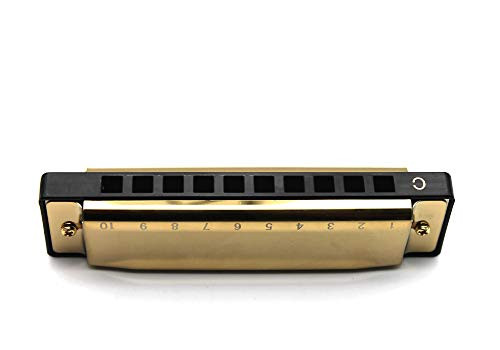 Blues Diatonic Harmonica 10 Holes C Key Harmonica Golden