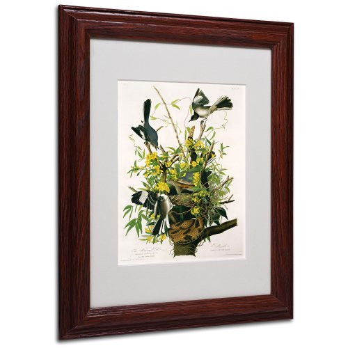 Mocking Birds and Snake II Matted Artwork by John James Audubon with Wood Frame, 11 by 14-Inch