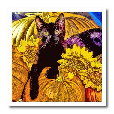 3dRose ht44753 Halloween Cat Iron on Heat Transfer for White Material  10 by 10-Inch