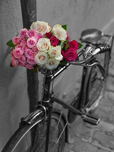 Posterazzi Bunch of Roses on bicycle Paris France Poster Print by Assaf Frank  9 x 12