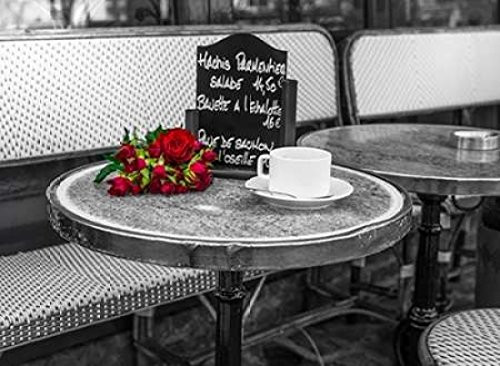 Bunch of flowers on sidewalk cafe table Paris France Poster Print by Assaf Frank 9 x 12