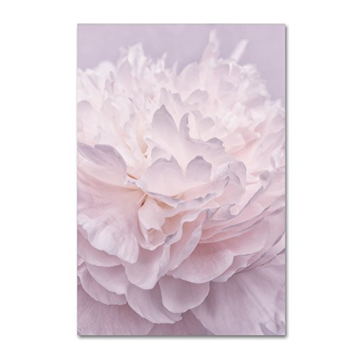 Trademark Fine Art Pink Peony Petals I by Cora Niele, 16x24-Inch Canvas Wall Art Trademark Fine Art Pink Peony Petals I by Cora Niele, 16x24-Inch Canvas Wall Art