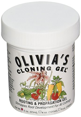 Olivia s Solution OCG1 2-Ounce Olivia s Cloning Gel for Plants fertilizers  2 oz  Natural