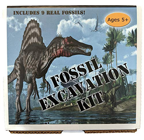 The Geode Mine Fossil Excavation Kit