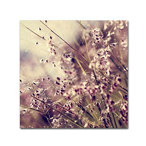 Trademark Fine Art Field of Sunshine by Beata Czyzowska Young, 14x14-Inch Canvas Wall Art Trademark Fine Art Field of Sunshine by Beata Czyzowska Young, 14x14-Inch Canvas Wall Art
