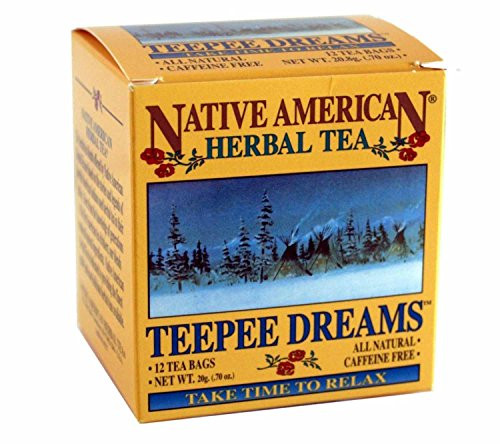 Teepee Dreams Native American Herbal Tea 2 Boxes  24 bags  Peppermint Flavor
