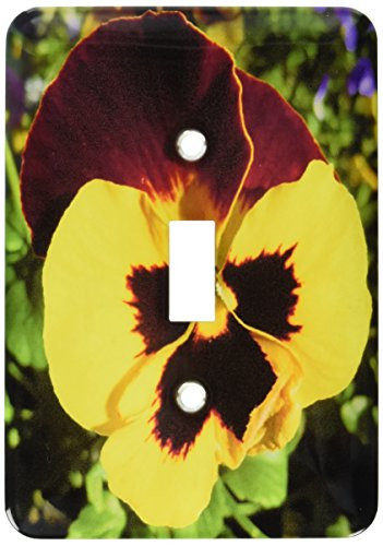 3dRose lsp_35309_1 Yellow Burnt Red Pansy Toggle Switch Multi-Color