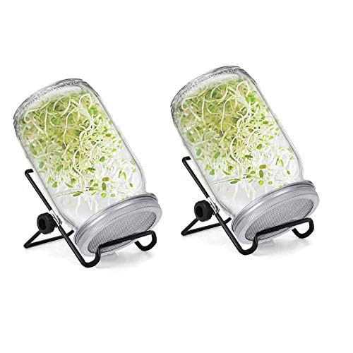 Sprouting Jar Kit - 2 Includes Sprouter Mason Jars  Sprouting Lids and Stands  Sprouting Jar for Growing Organic Sprout in House-Kitchen